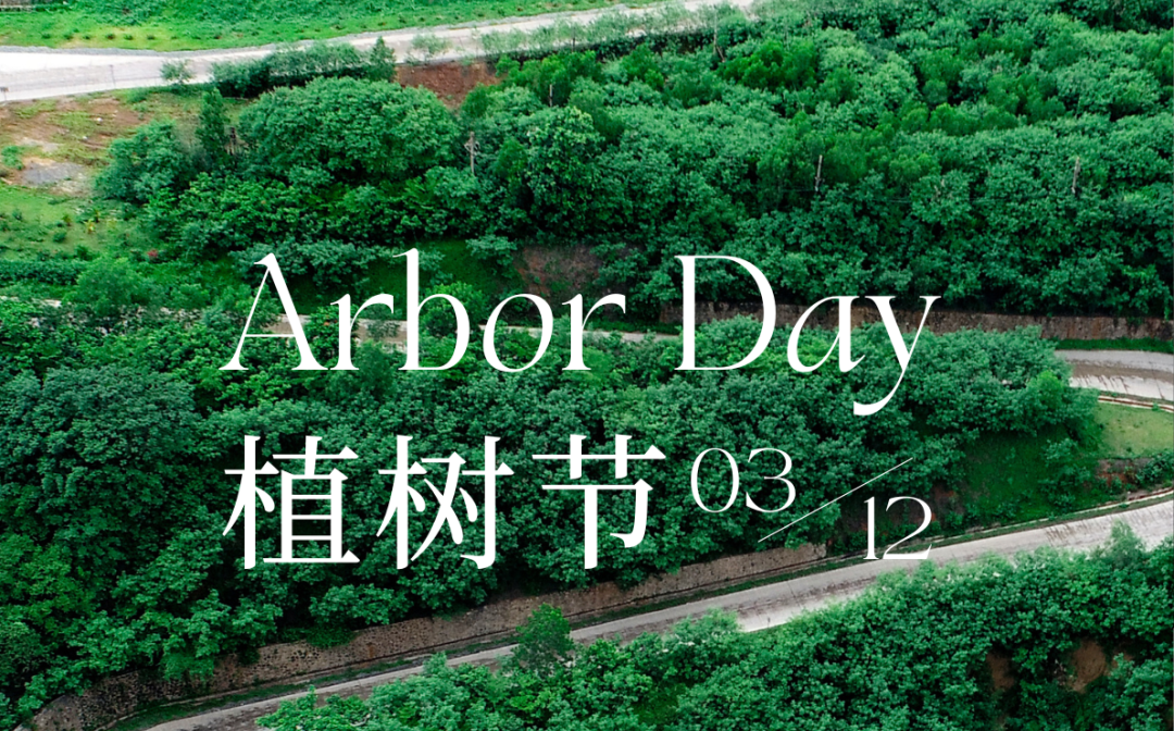 植树节 | pp电子模拟器的绿色画卷